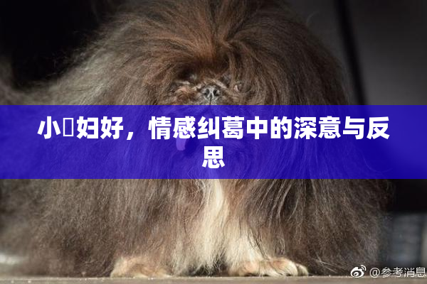 小婬妇好，情感纠葛中的深意与反思