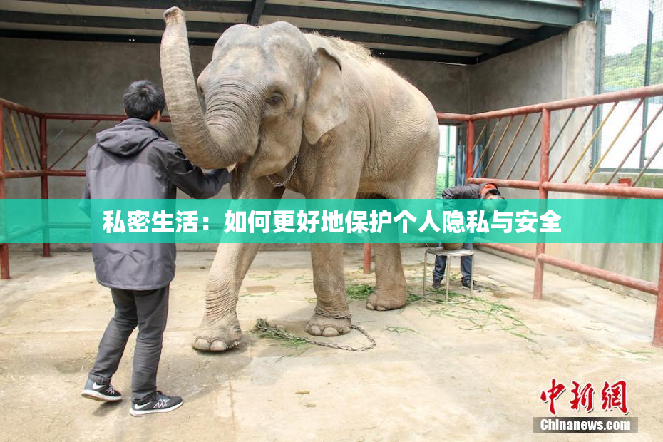 私密生活：如何更好地保护个人隐私与安全
