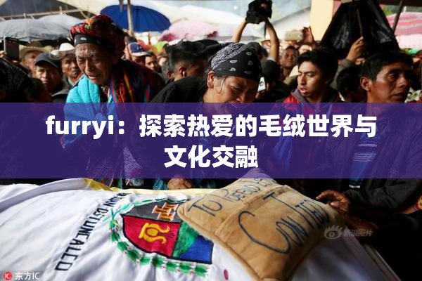furryi：探索热爱的毛绒世界与文化交融