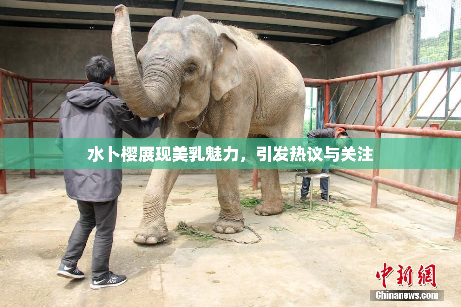 水卜樱展现美乳魅力，引发热议与关注