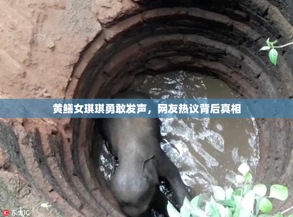 黄鳝女琪琪勇敢发声，网友热议背后真相