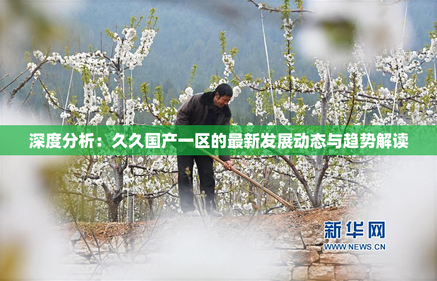 深度分析：久久国产一区的最新发展动态与趋势解读