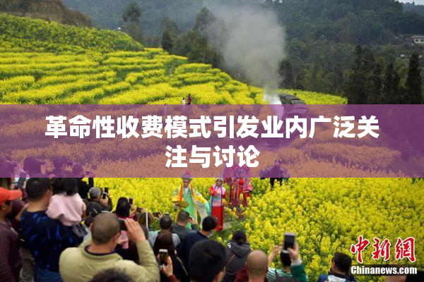革命性收费模式引发业内广泛关注与讨论