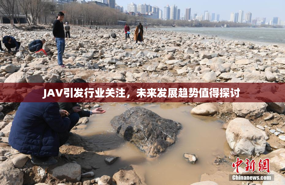 JAV引发行业关注，未来发展趋势值得探讨