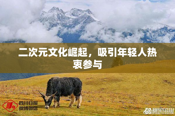二次元文化崛起，吸引年轻人热衷参与