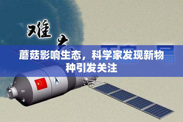 蘑菇影响生态，科学家发现新物种引发关注