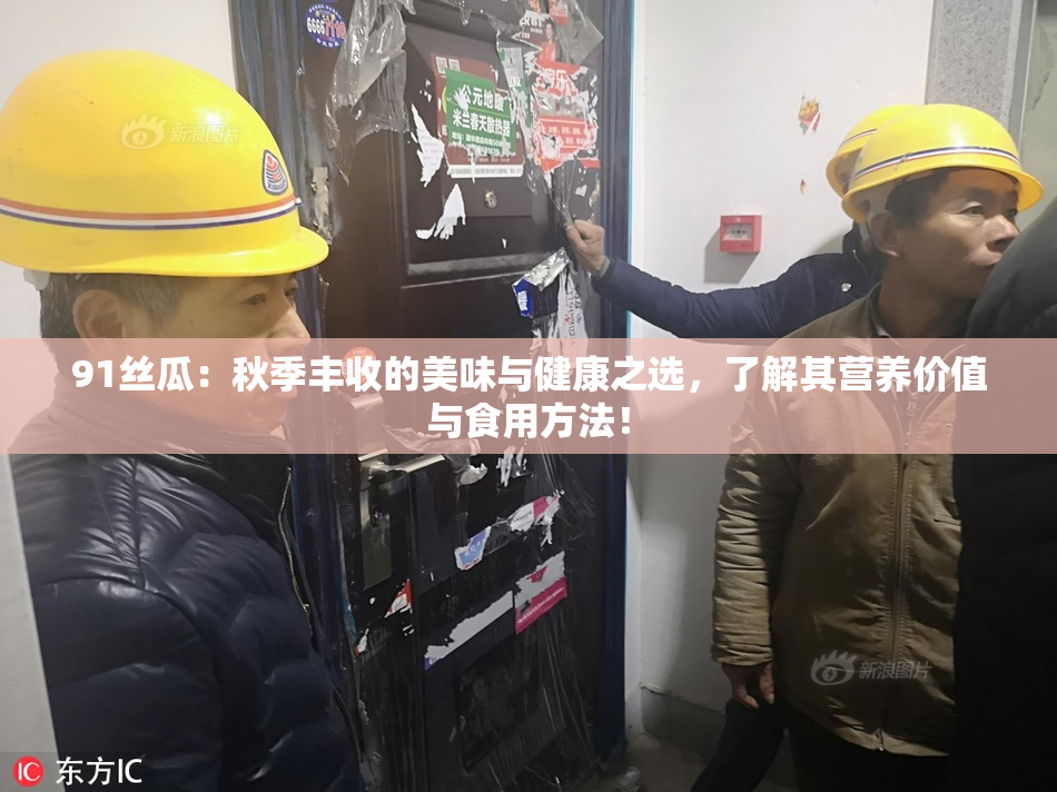 91丝瓜：秋季丰收的美味与健康之选，了解其营养价值与食用方法！