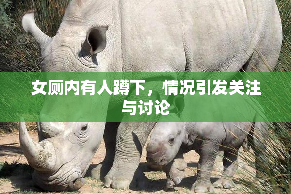 女厕内有人蹲下，情况引发关注与讨论