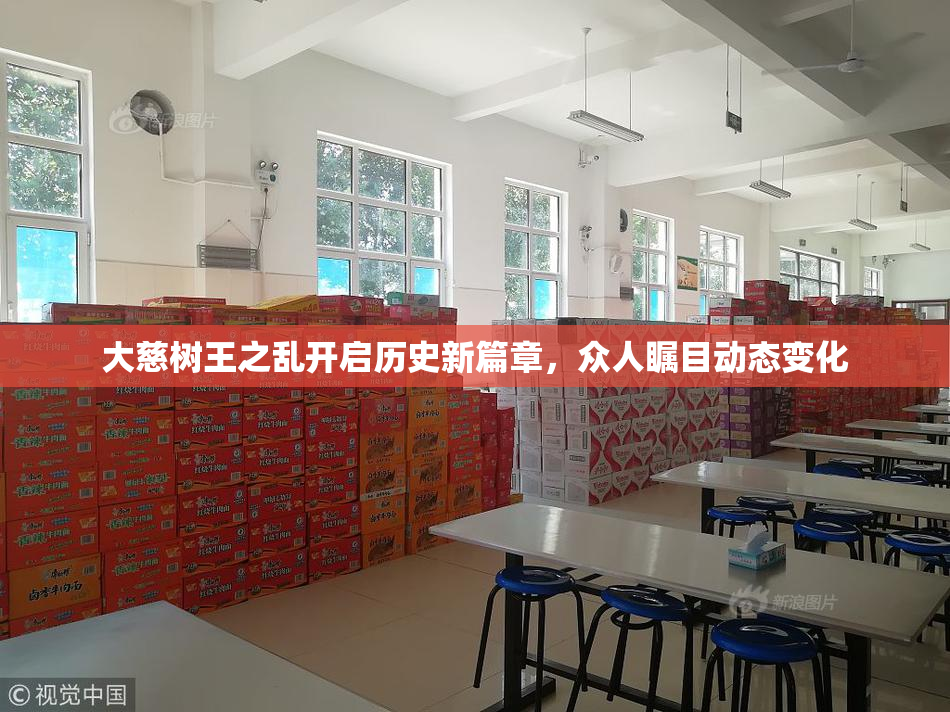 大慈树王之乱开启历史新篇章，众人瞩目动态变化