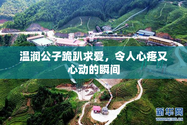 温润公子跪趴求爱，令人心疼又心动的瞬间