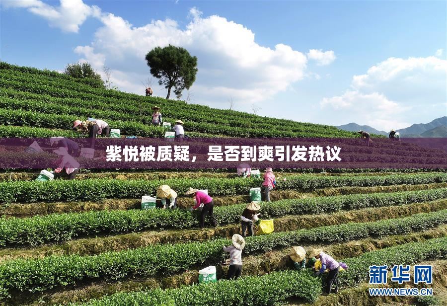 紫悦被质疑，是否到爽引发热议