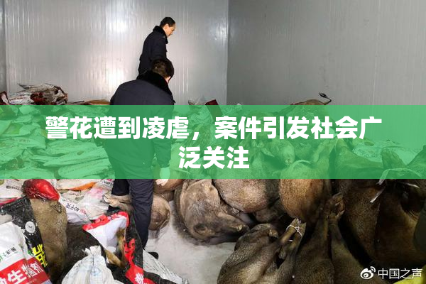 警花遭到凌虐，案件引发社会广泛关注