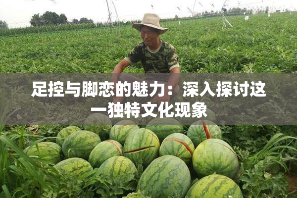足控与脚恋的魅力：深入探讨这一独特文化现象