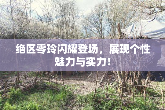 绝区零玲闪耀登场，展现个性魅力与实力！