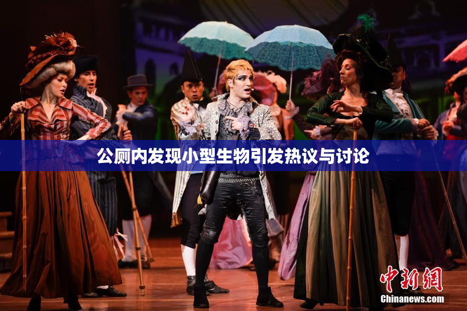 公厕内发现小型生物引发热议与讨论