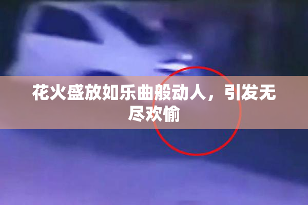 花火盛放如乐曲般动人，引发无尽欢愉