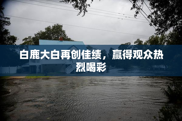 白鹿大白再创佳绩，赢得观众热烈喝彩