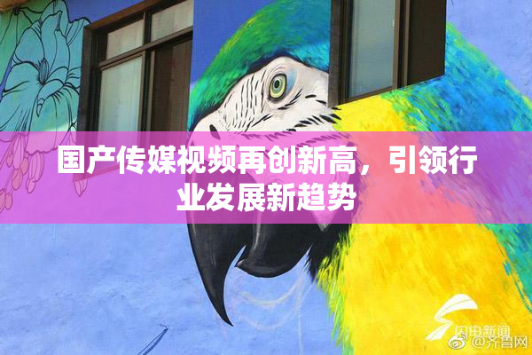 国产传媒视频再创新高，引领行业发展新趋势