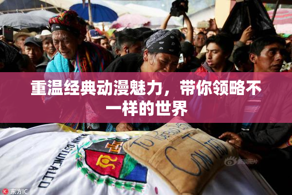 重温经典动漫魅力，带你领略不一样的世界