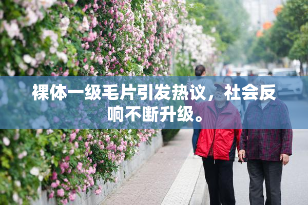 裸体一级毛片引发热议，社会反响不断升级。