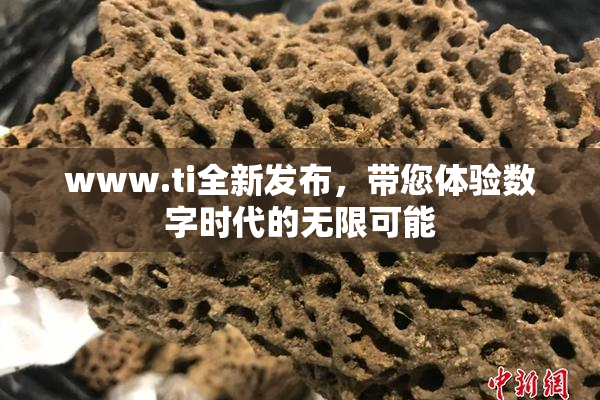 www.ti全新发布，带您体验数字时代的无限可能
