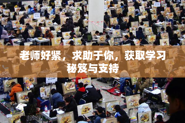 老师好紧，求助于你，获取学习秘笈与支持