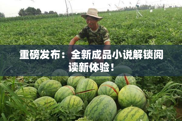 重磅发布：全新成品小说解锁阅读新体验！
