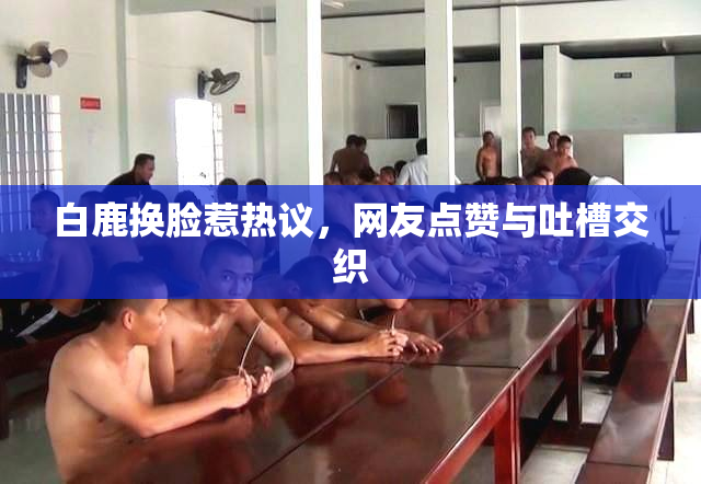 白鹿换脸惹热议，网友点赞与吐槽交织