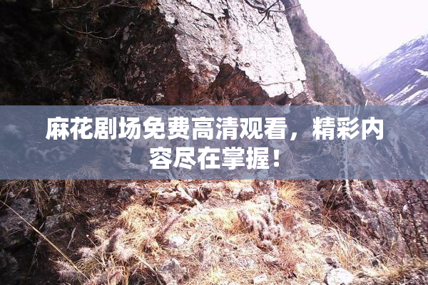 麻花剧场免费高清观看，精彩内容尽在掌握！