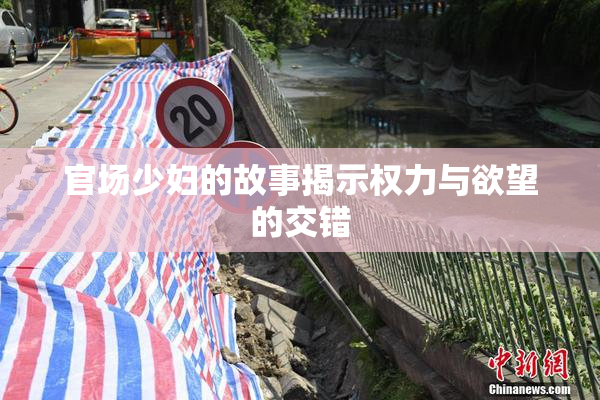 官场少妇的故事揭示权力与欲望的交错