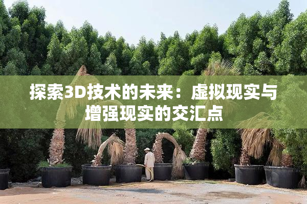 探索3D技术的未来：虚拟现实与增强现实的交汇点