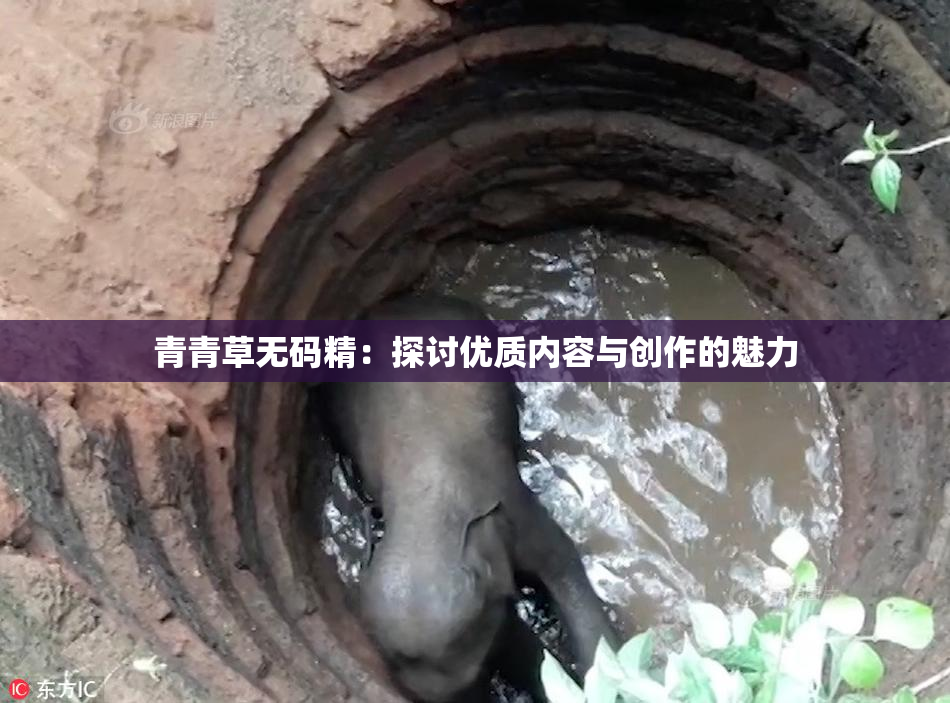 青青草无码精：探讨优质内容与创作的魅力