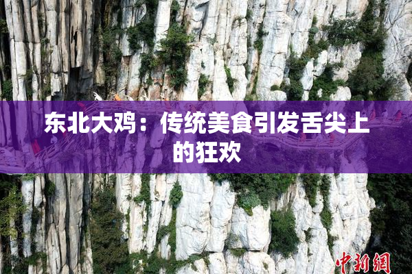 东北大鸡：传统美食引发舌尖上的狂欢