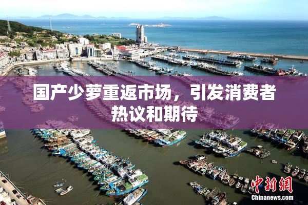 国产少萝重返市场，引发消费者热议和期待