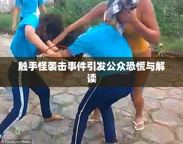 触手怪袭击事件引发公众恐慌与解读