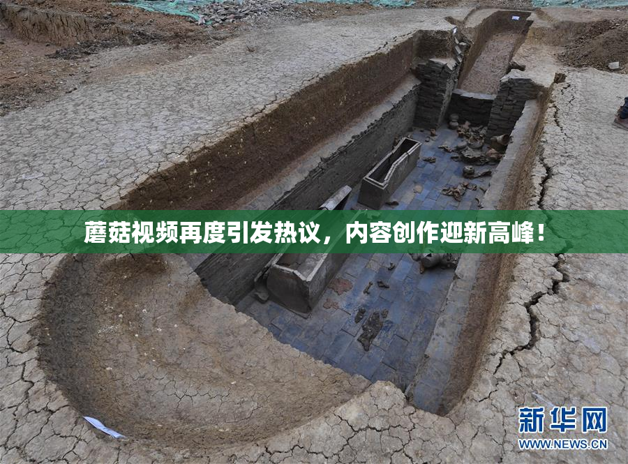 蘑菇视频再度引发热议，内容创作迎新高峰！