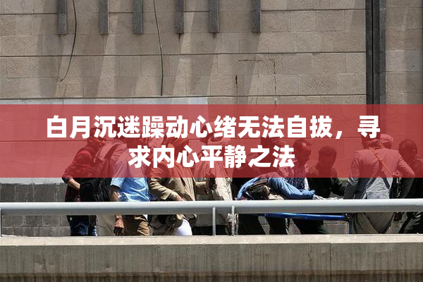 白月沉迷躁动心绪无法自拔，寻求内心平静之法