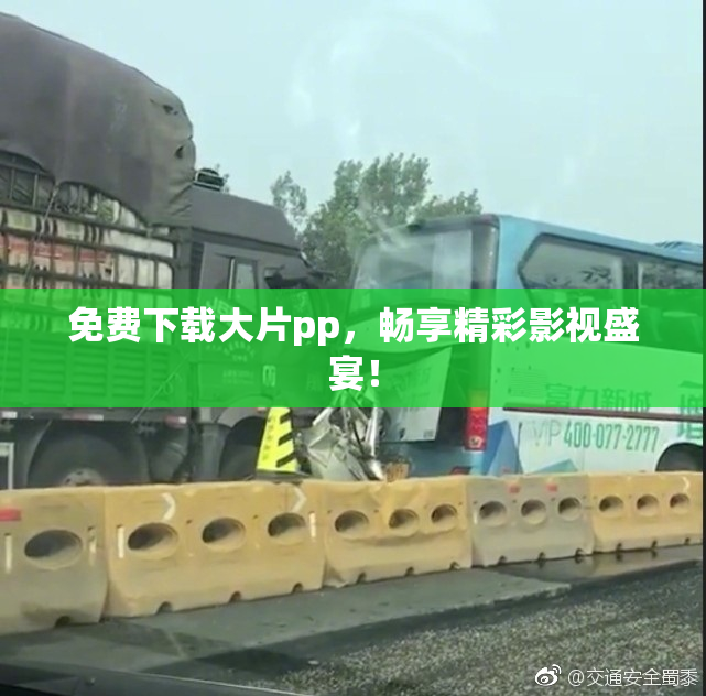 免费下载大片pp，畅享精彩影视盛宴！