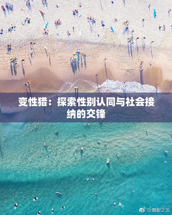 变性猎：探索性别认同与社会接纳的交锋