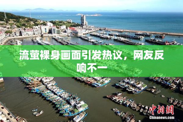 流萤裸身画面引发热议，网友反响不一