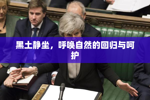 黑土静坐，呼唤自然的回归与呵护