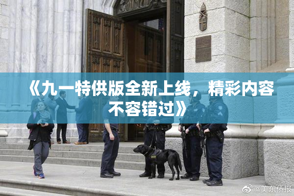 《九一特供版全新上线，精彩内容不容错过》