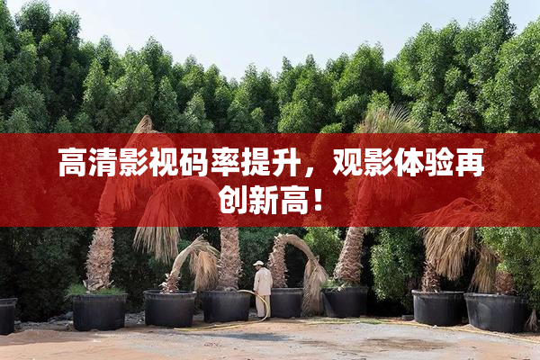 高清影视码率提升，观影体验再创新高！