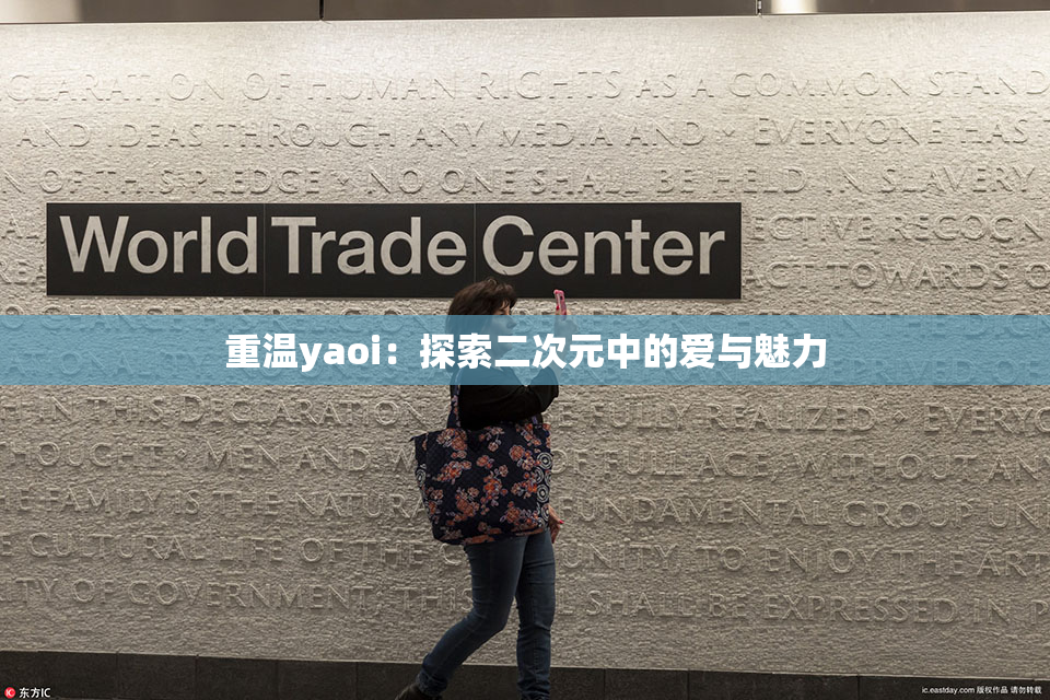重温yaoi：探索二次元中的爱与魅力