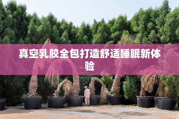真空乳胶全包打造舒适睡眠新体验