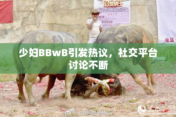 少妇BBwB引发热议，社交平台讨论不断