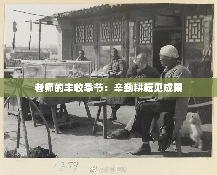 老师的丰收季节：辛勤耕耘见成果