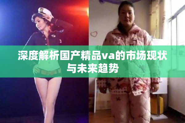 深度解析国产精品va的市场现状与未来趋势
