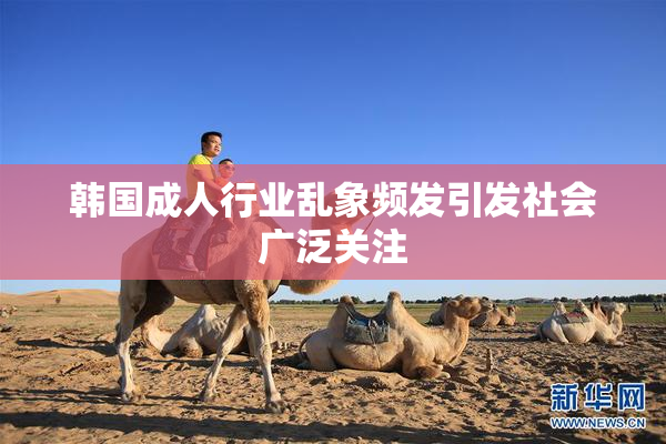 韩国成人行业乱象频发引发社会广泛关注