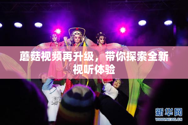 蘑菇视频再升级，带你探索全新视听体验